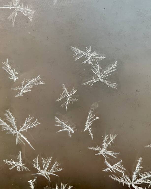 Farfalle di ghiaccio