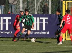 Castellanzese calcio 2023-2024
