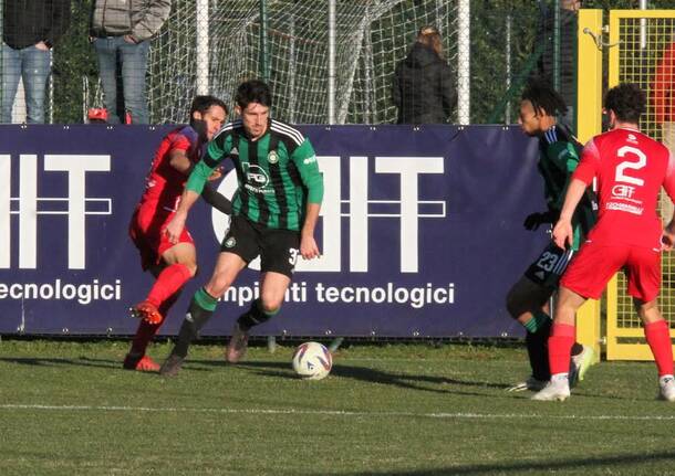Castellanzese calcio 2023-2024