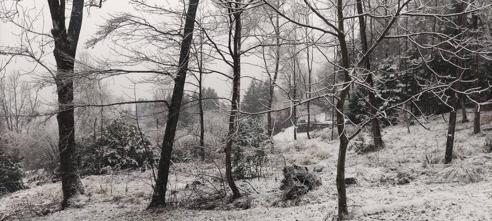 È arrivata la prima neve del 2024