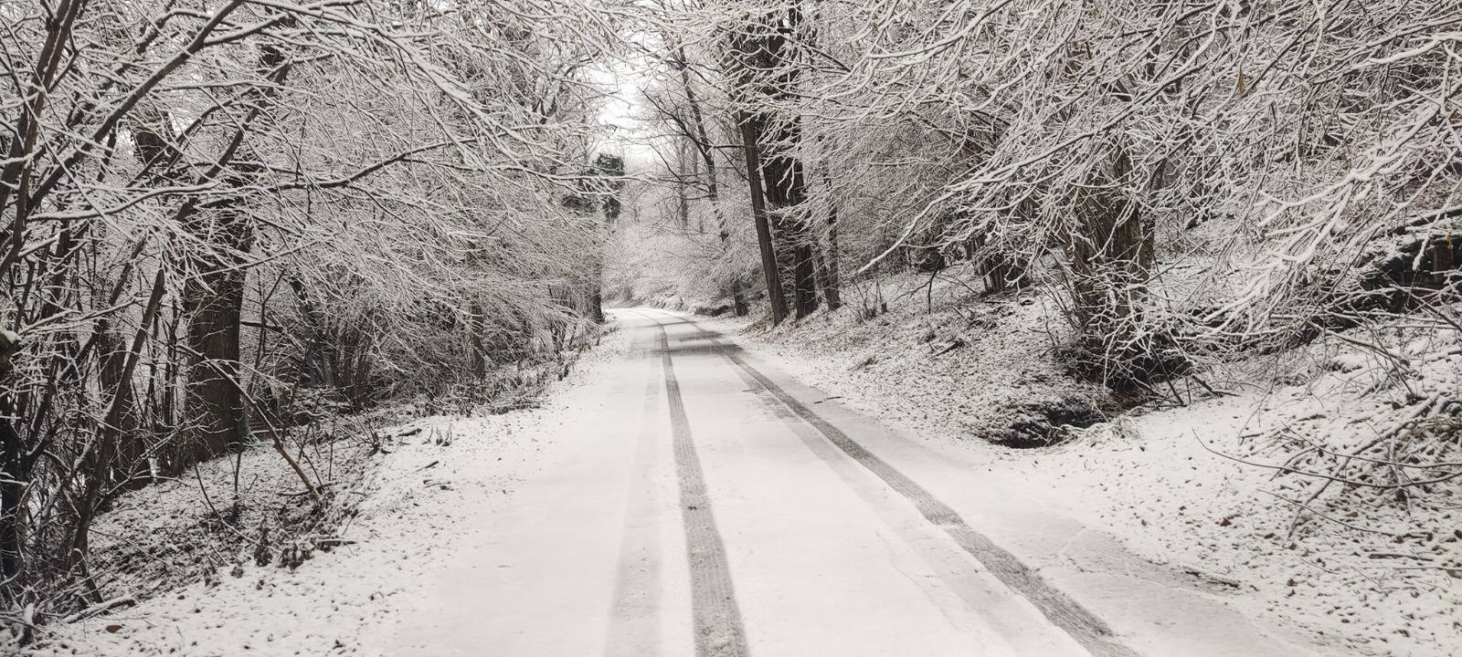 È arrivata la prima neve del 2024