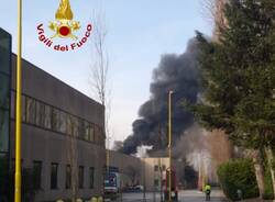 Generico 29 Jan 2024