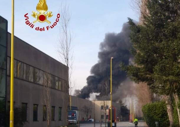 Generico 29 Jan 2024