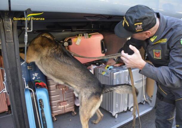 guardia di finanza dogana generiche