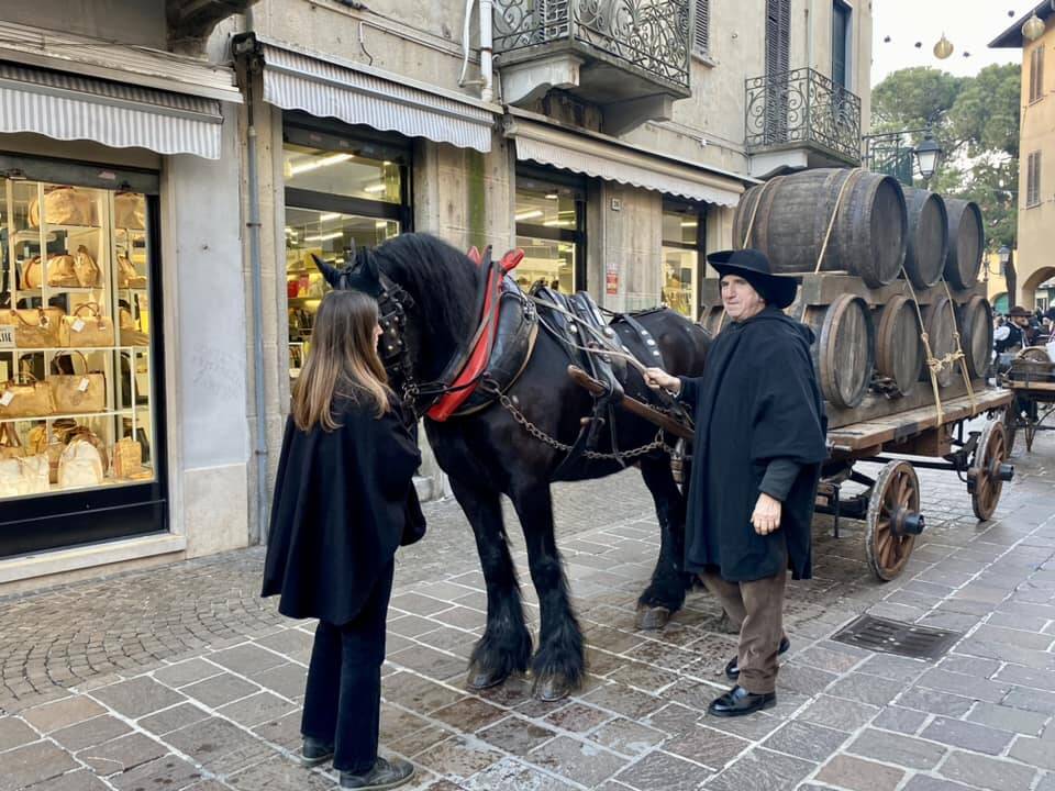 La XV edizione del corteo storico di Saronno