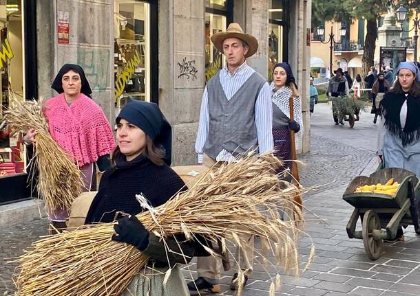 La XV edizione del corteo storico di Saronno