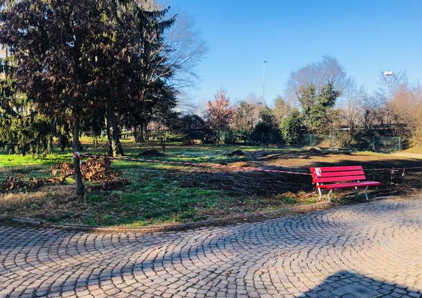 Parco Castello Legnano alberi