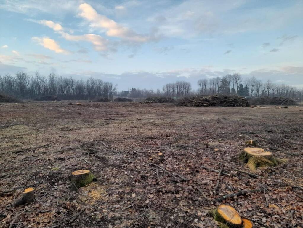 Prime opere per la Variante 341 Pedemontana-Samarate