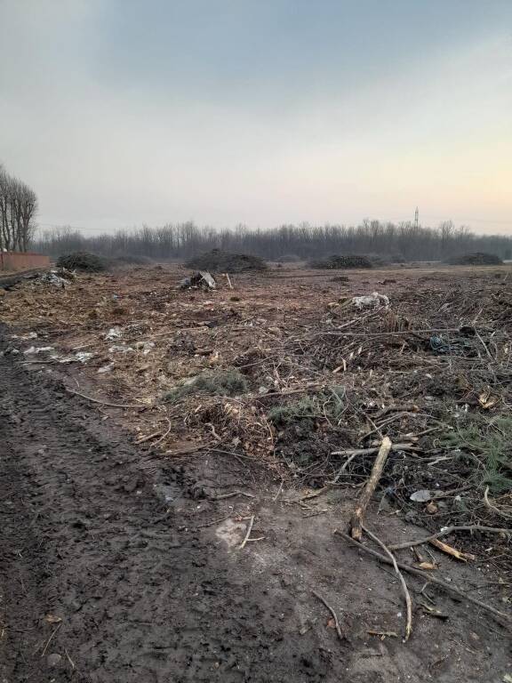 Prime opere per la Variante 341 Pedemontana-Samarate
