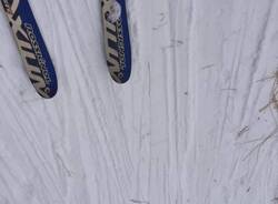 Primi sciatori del 2024 in Forcora