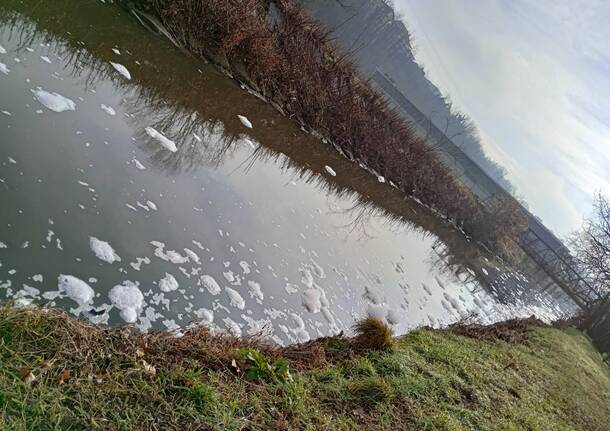 schiuma fiume olona 18 gennaio 2023