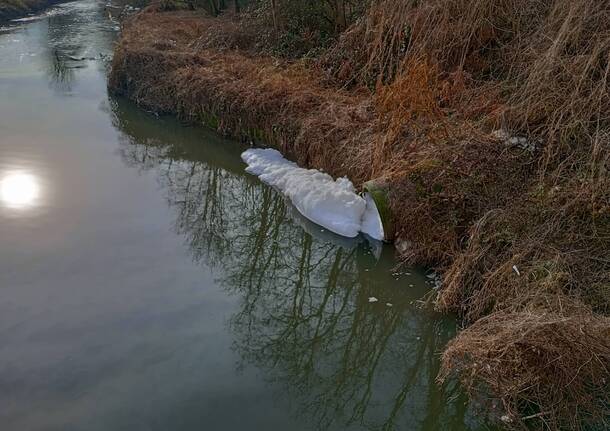 schiuma fiume olona 18 gennaio 2023