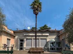 the family albizzate