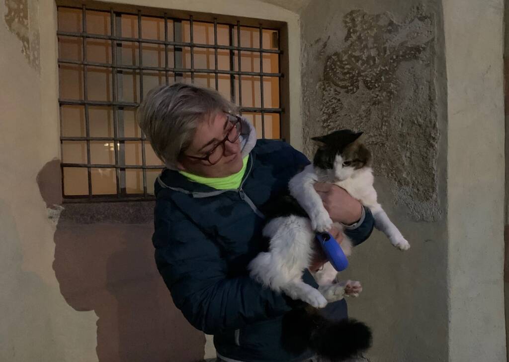 Vedano Olona - La benedizione degli animali