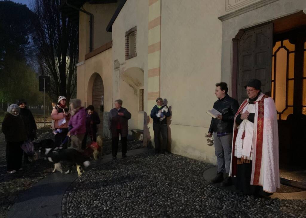 Vedano Olona - La benedizione degli animali