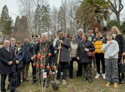 A villa Toeplitz un melograno contro il cancro infantile 