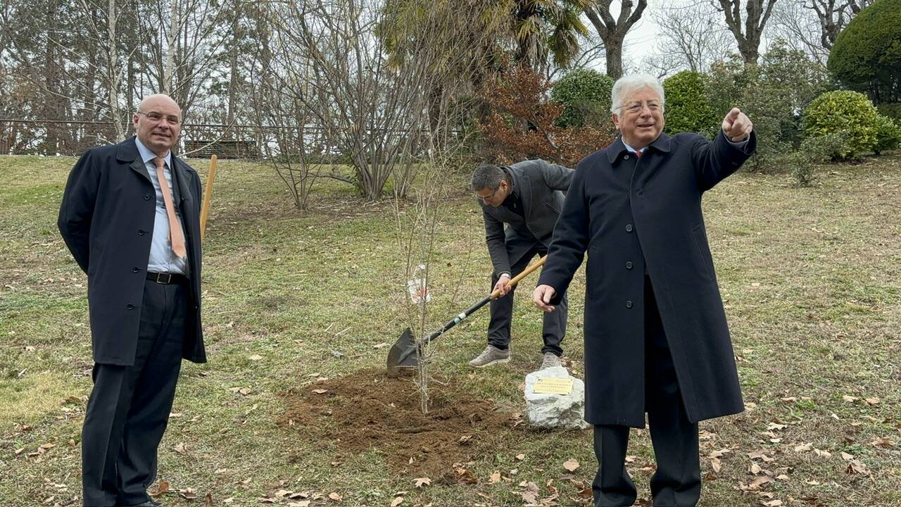 A villa Toeplitz un melograno contro il cancro infantile 