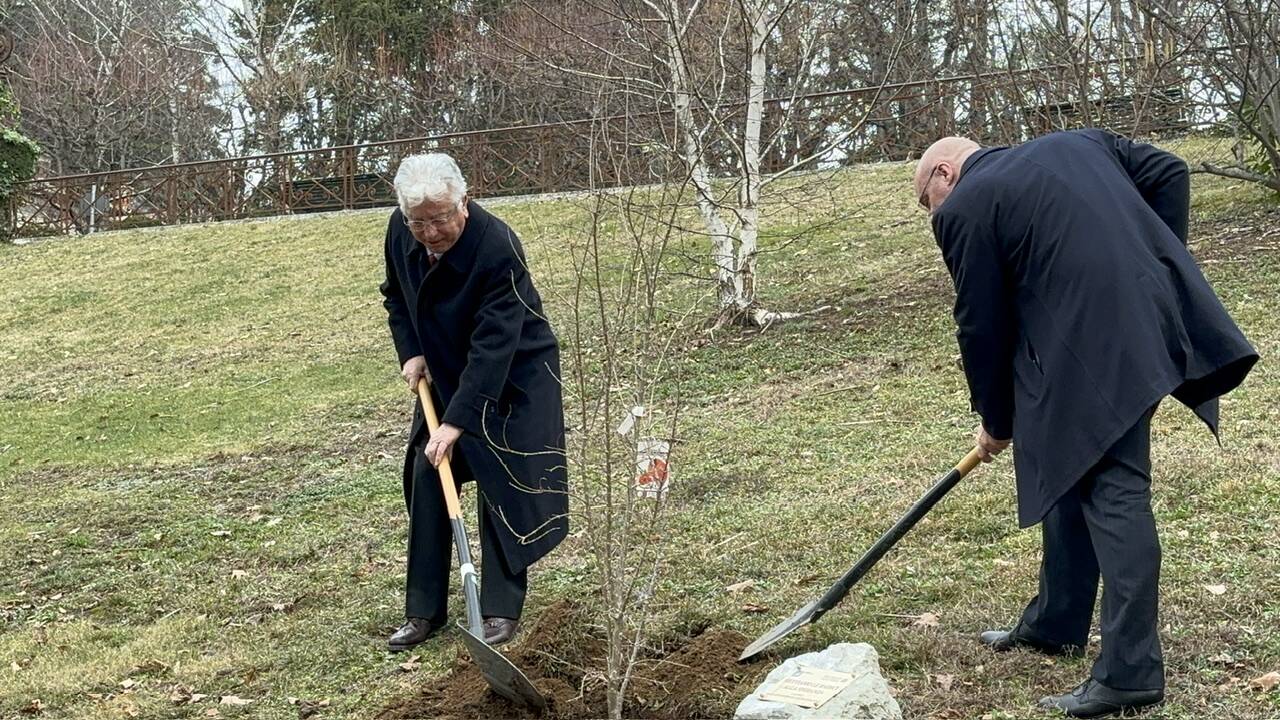 A villa Toeplitz un melograno contro il cancro infantile 