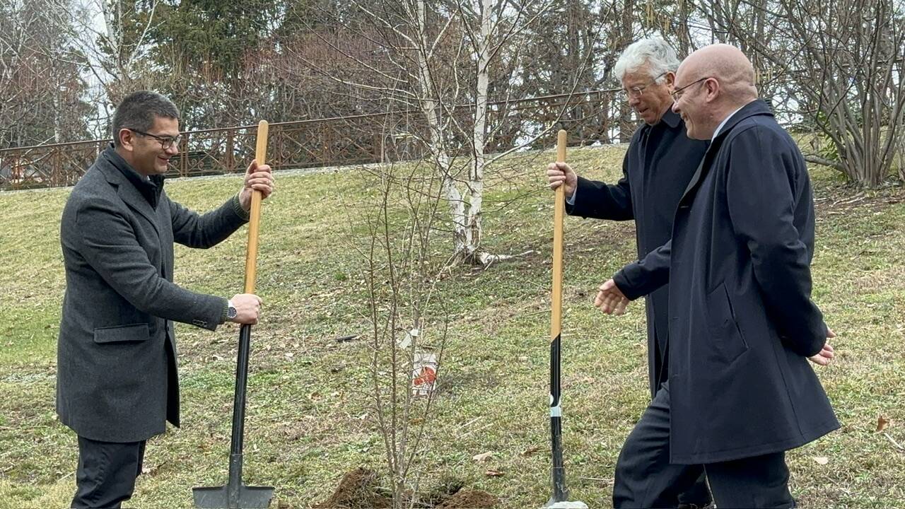 A villa Toeplitz un melograno contro il cancro infantile 
