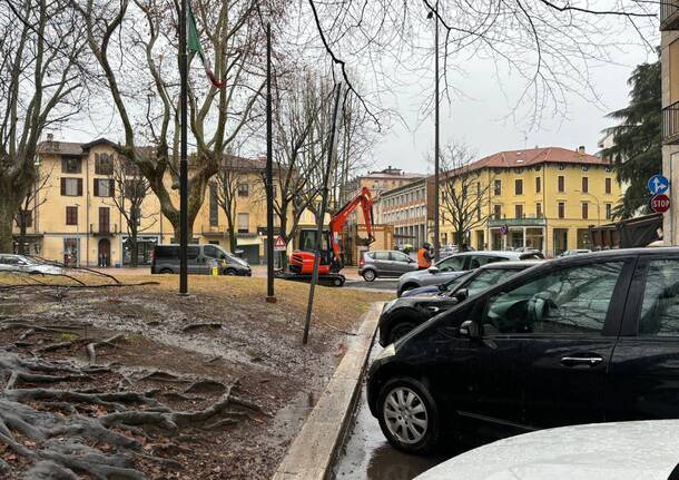 alfa luino