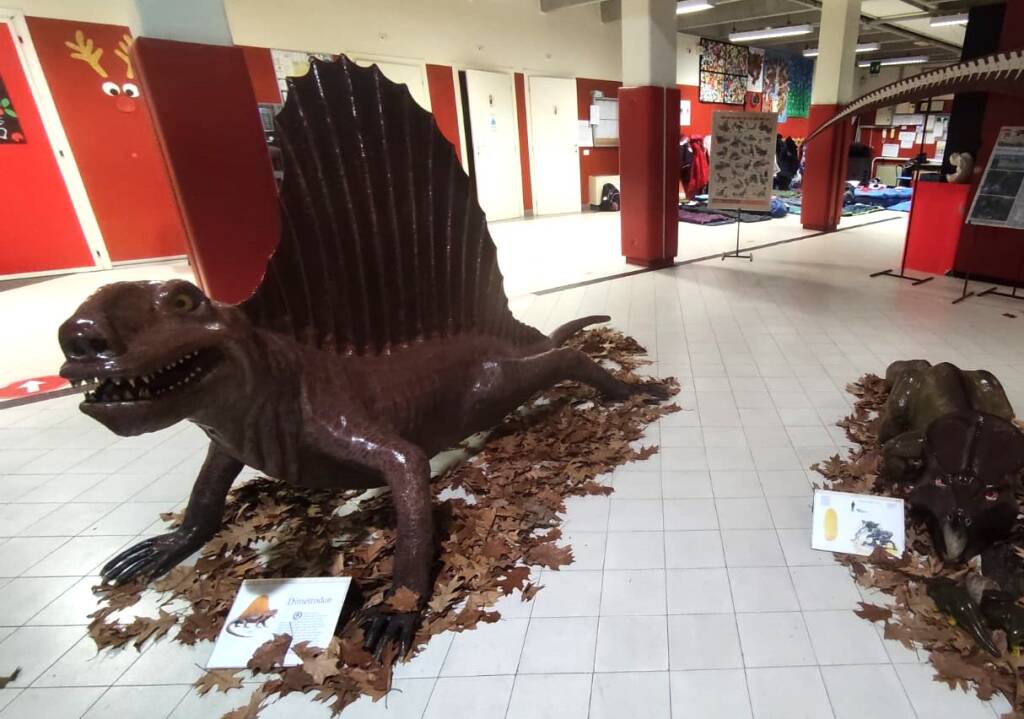 Cassano Magnago - Notte con i dinosauri