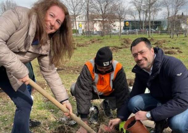 Con Forestami 771 nuove piante a Legnano