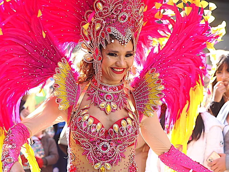 Il Carnevale a Varese