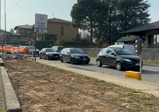 lavori bizozzero