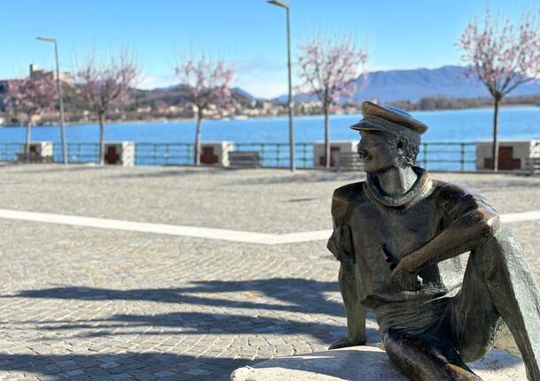 Arona