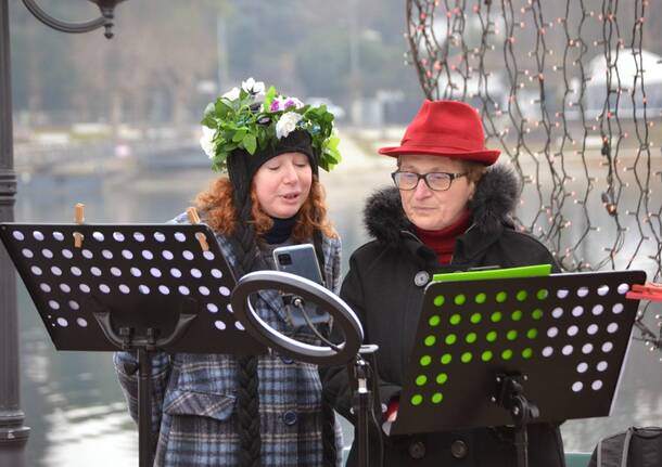 attacco poetico sesto celande