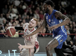 basket