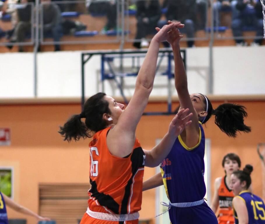 Basket Canegrate Ko contro Sondrio - Foto di Alice Buffoni.