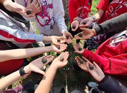 Bombe di semi per la primaria di Somma Lombardo