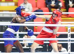 boxing road to paris busto arsizio 