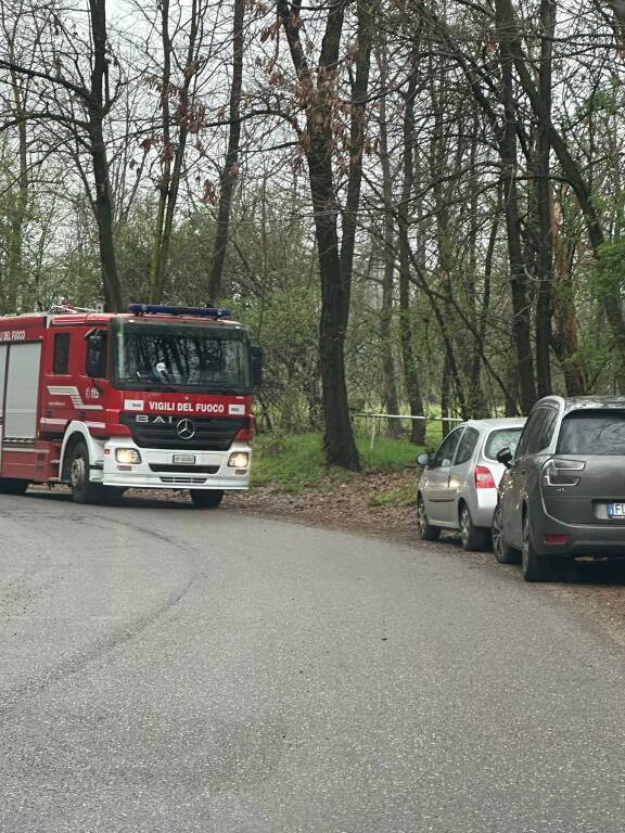 cade un ramo nei boschi di Manzago: grave 46enne