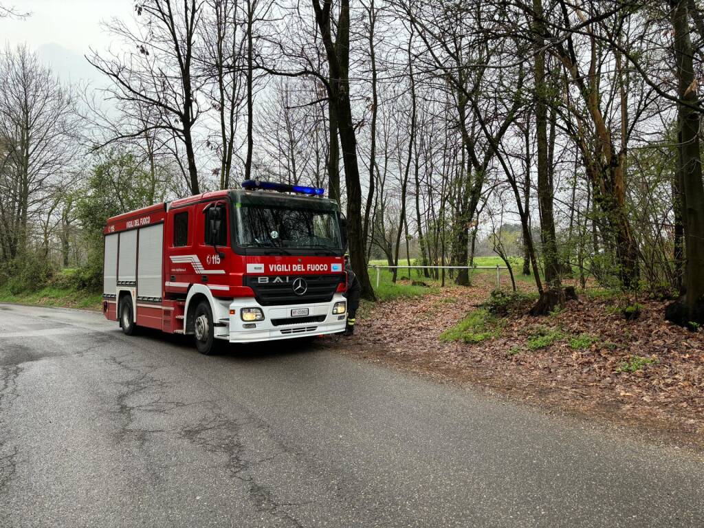 cade un ramo nei boschi di Manzago: grave 46enne