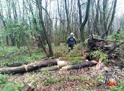 cade un ramo nei boschi di Manzago: grave 46enne