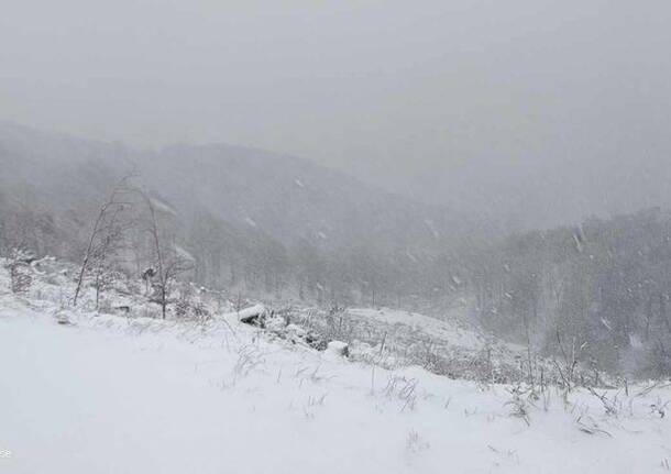 10 marzo: la forte nevicata al Forte di Orino