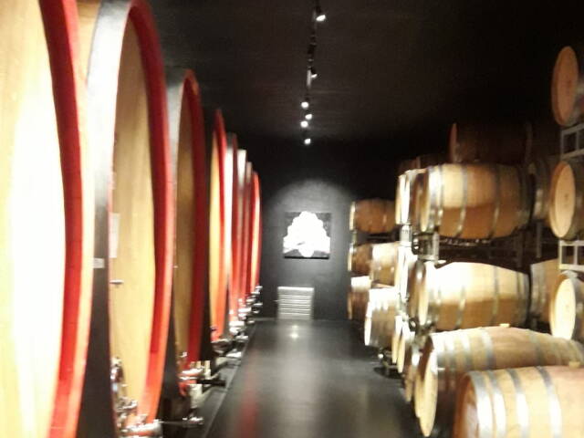 I Love Nebbiolo