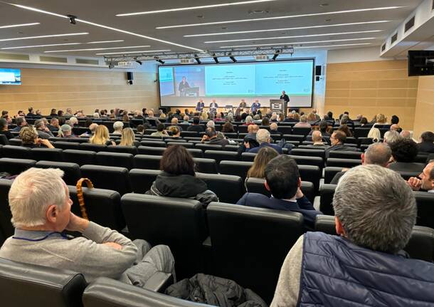 convegno ville ponti guido bertolaso