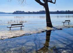 lungo lago Gavirate piena