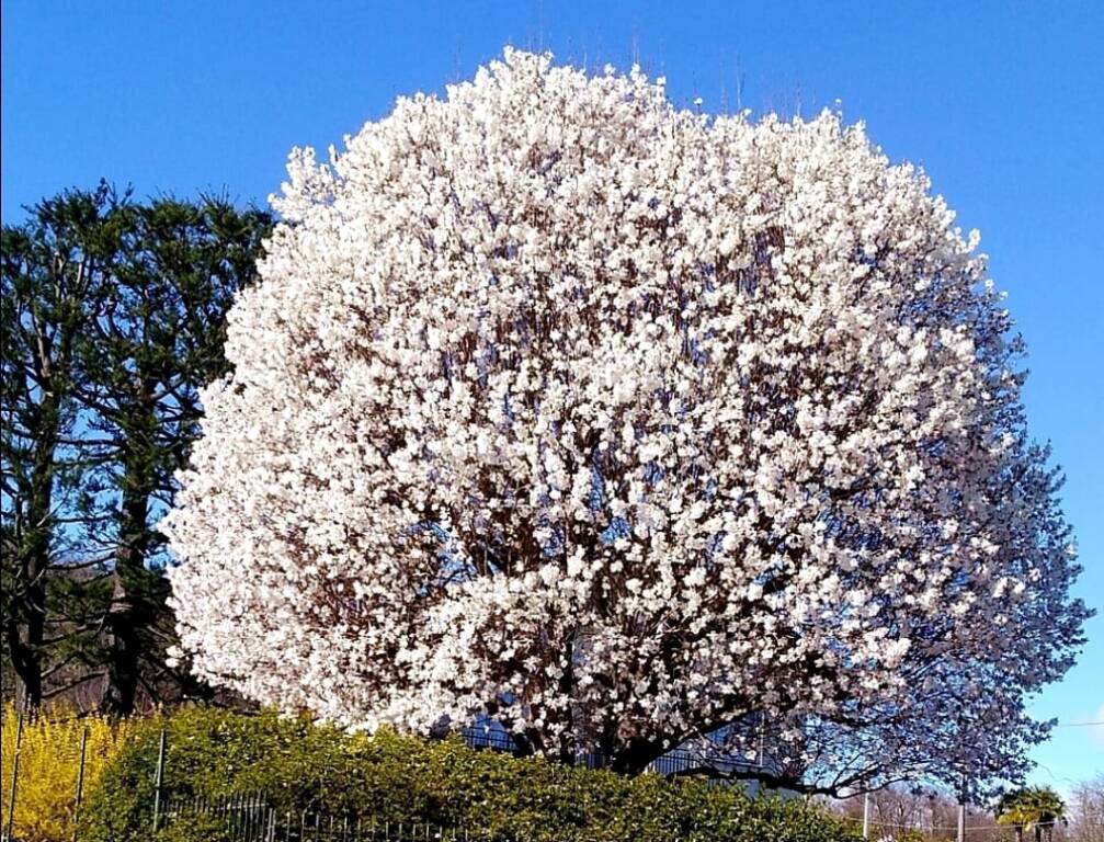 Generico 18 Mar 2024