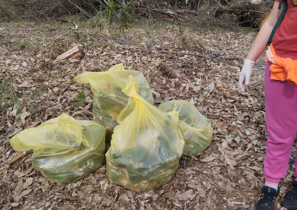 Giornata ecologica Biandronno