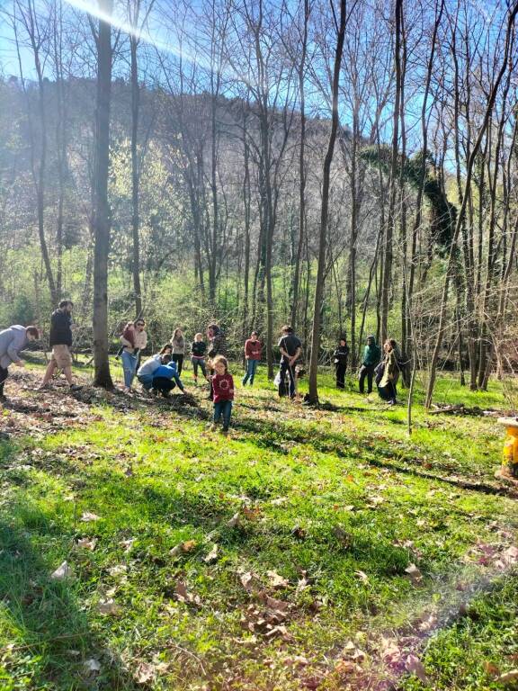 Il "Festival dell'albero" anima i boschi di Comabbio