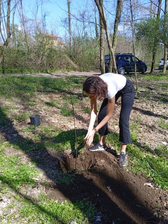 Il "Festival dell'albero" anima i boschi di Comabbio