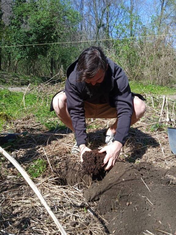 Il "Festival dell'albero" anima i boschi di Comabbio