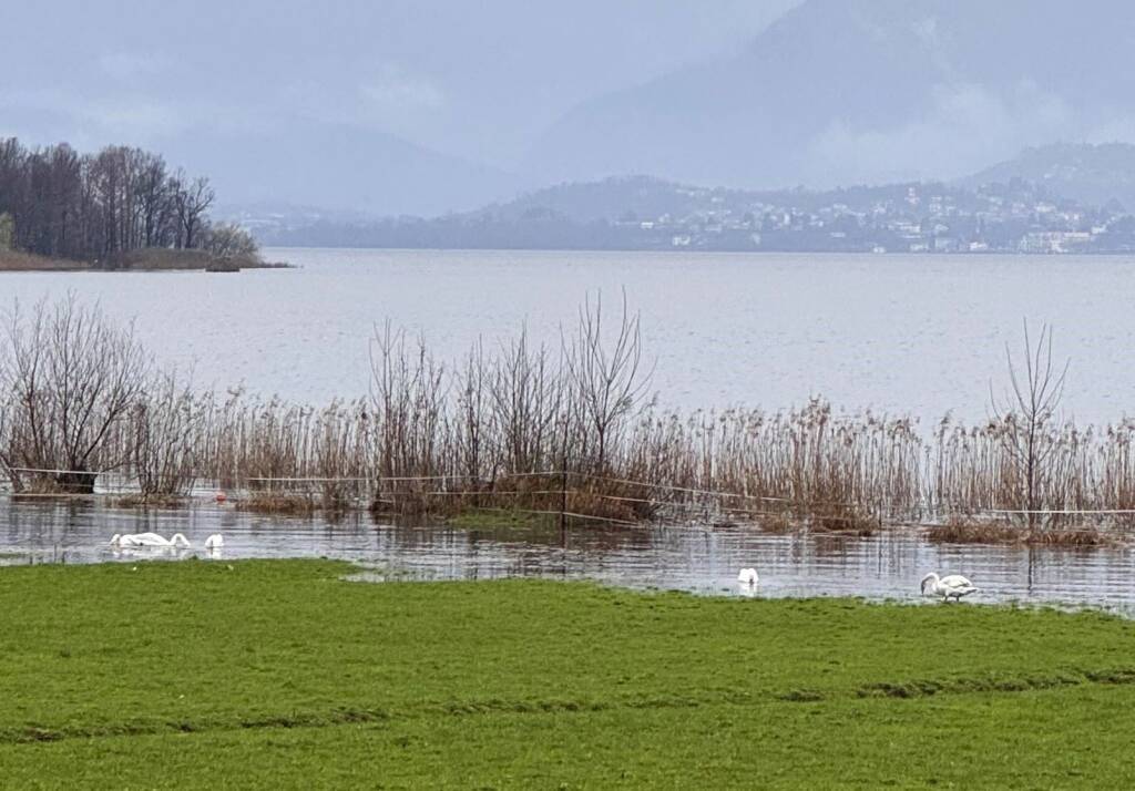 Il lago di Varese esondato - foto di Andrea Santonocito
