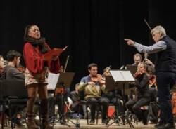 immaginarte arcisate