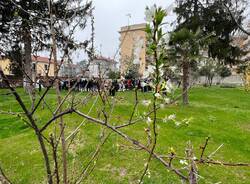 inaugurazione parco emanuela loi busto arsizio