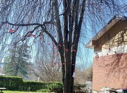 l'albero delle giuste a scuola